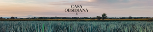 Casa Obsidiana | The Power of the Obsidian